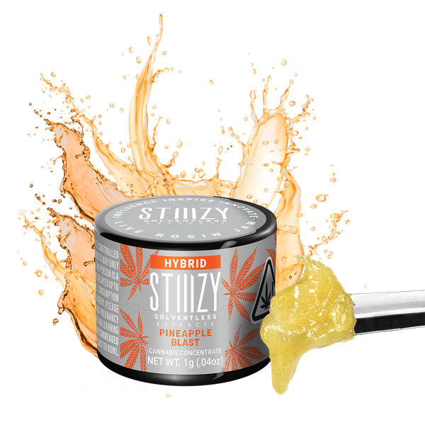 Pineapple Blast | Live Rosin Jam | STIIIZY