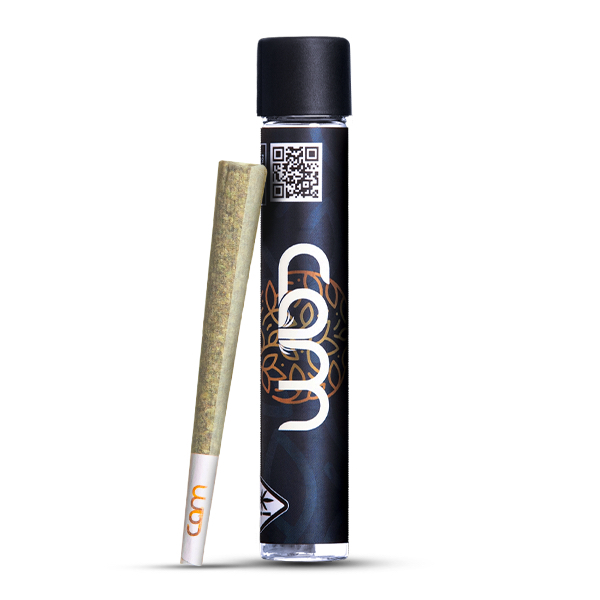 cam disposable vape Vape Cam 12,000 Puff Disposable Vape
