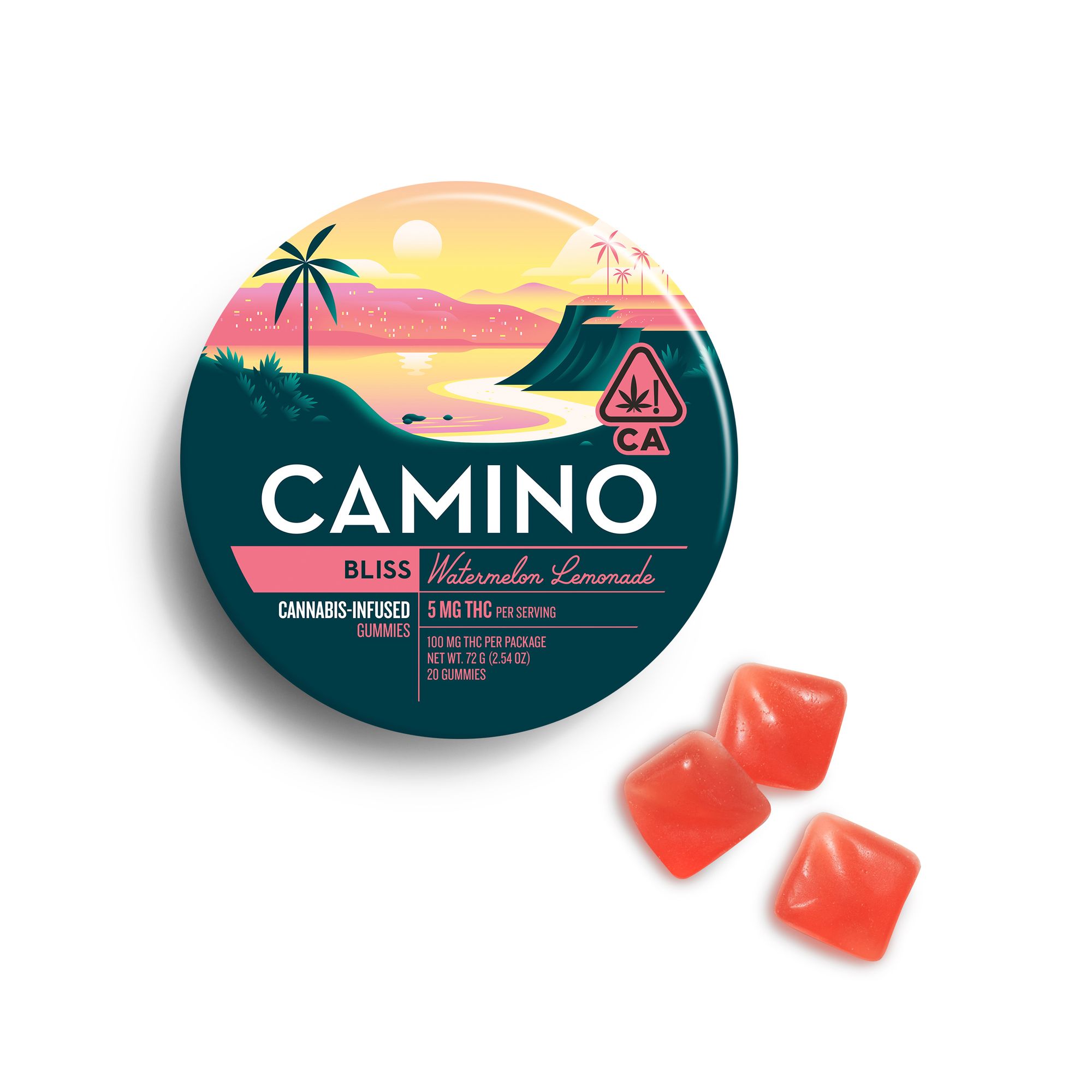 Watermelon Lemonade