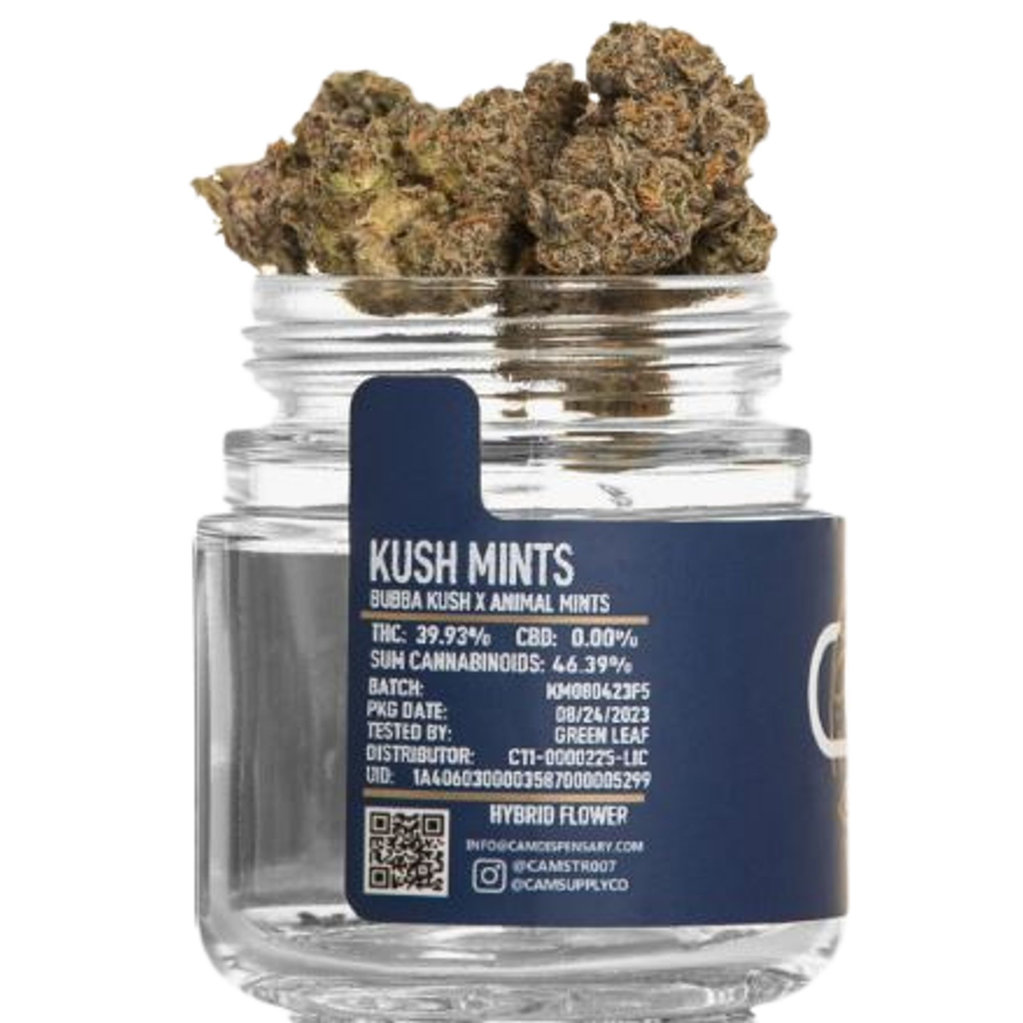 Kush Mints