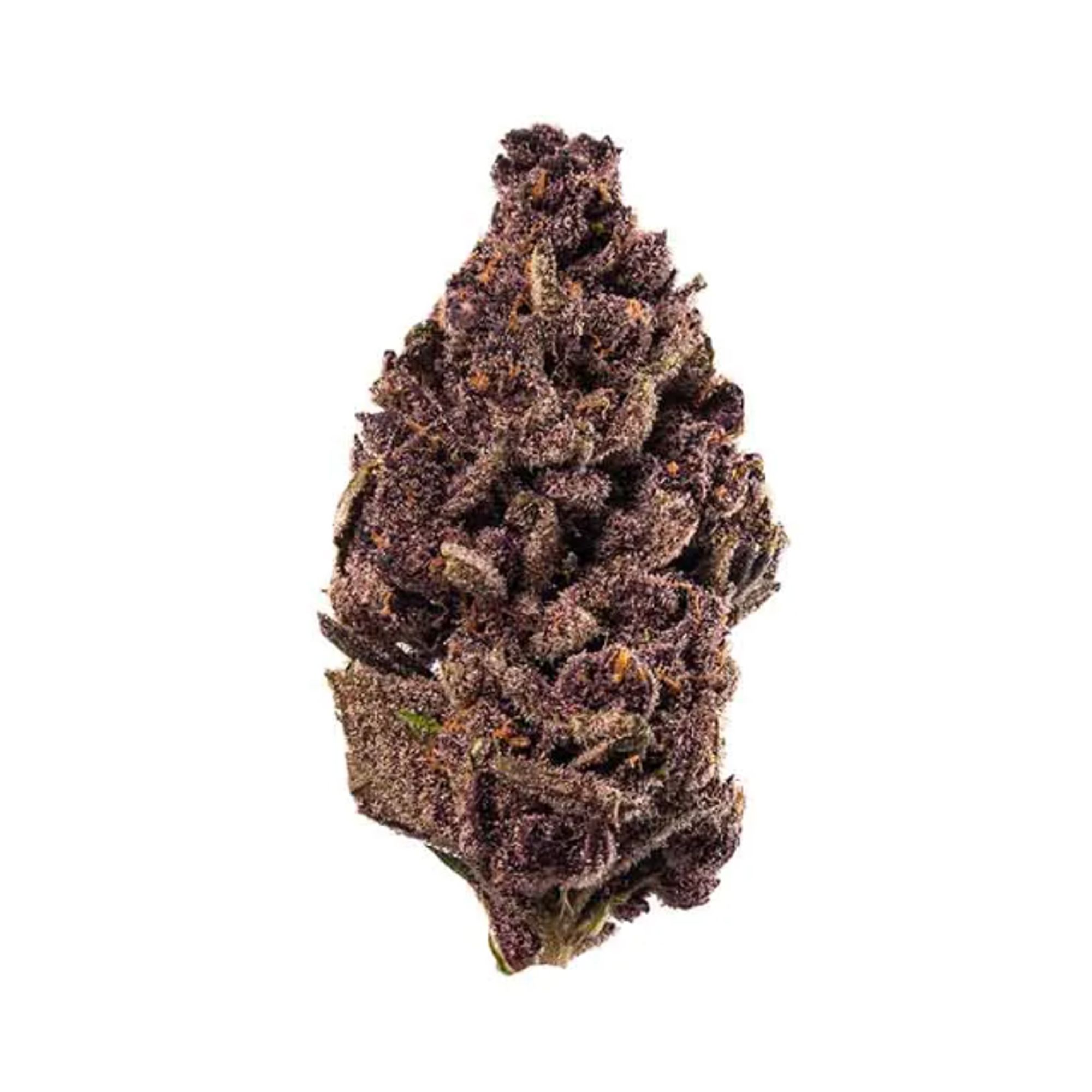 PURPLE TANGIE 1G d8