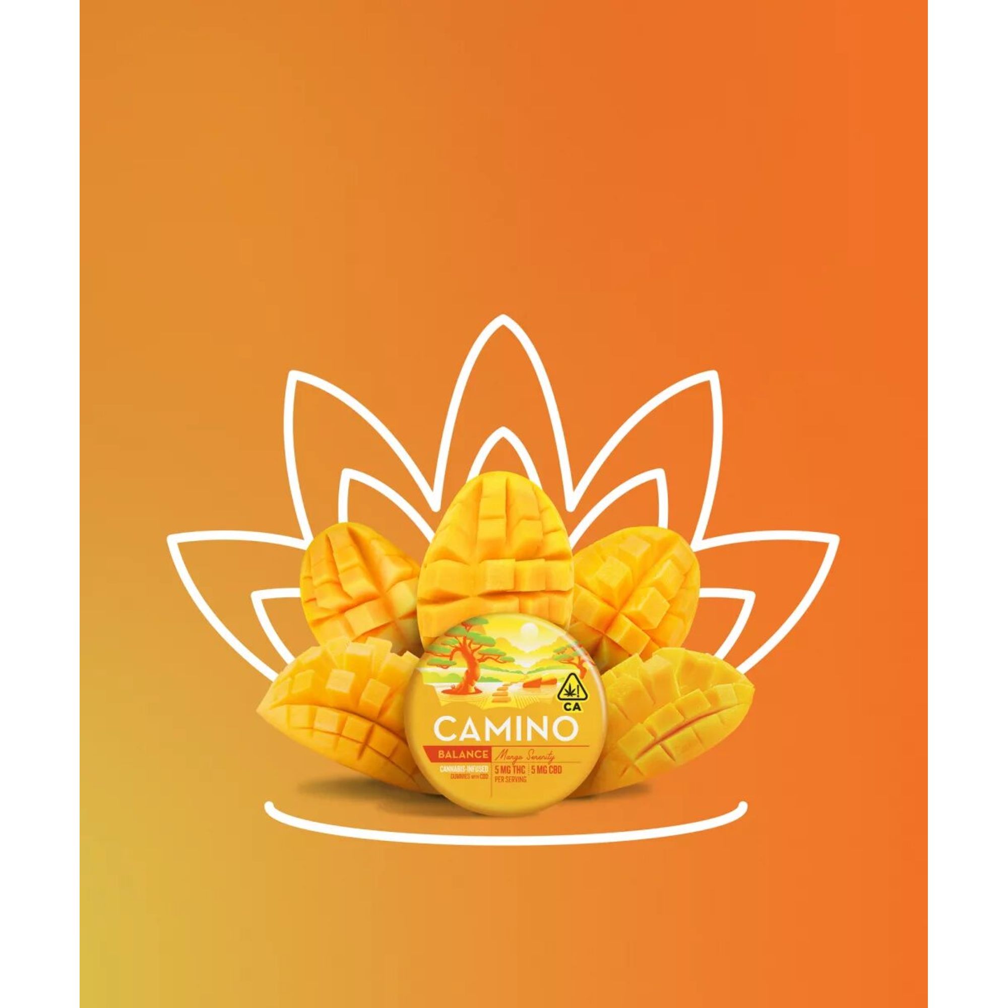 MANGO SERENITY BALANCE GUMMIES 1:1 A7