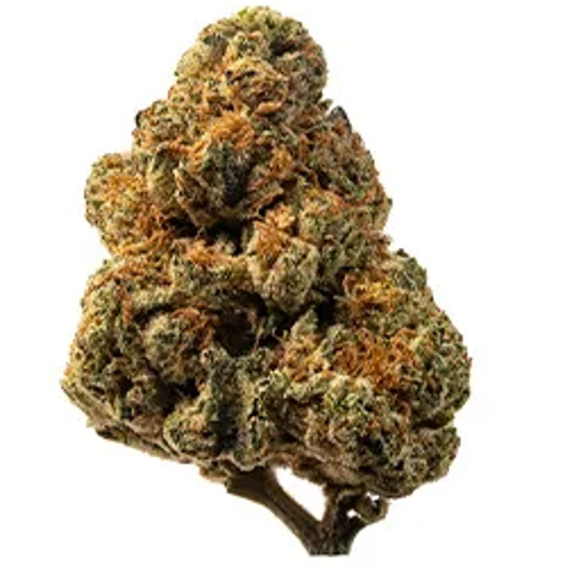 WEDDING CAKE 1G D8