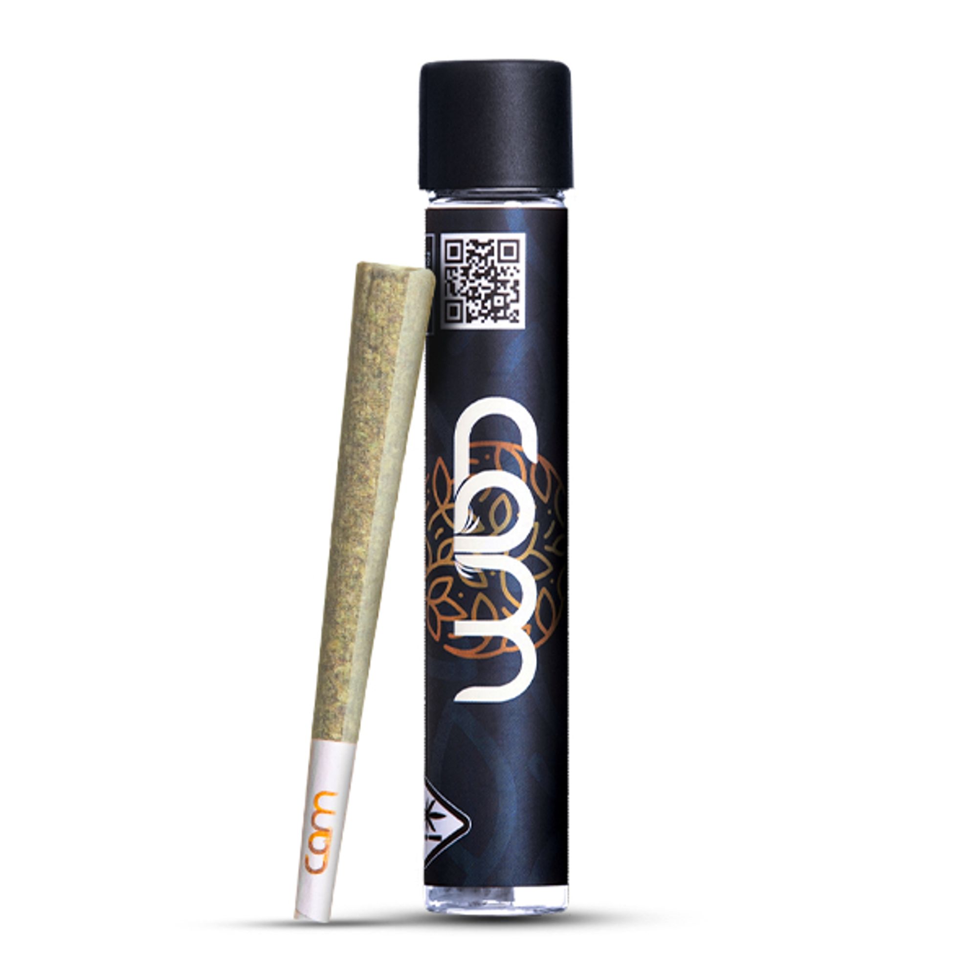 CAM - INDOOR PREROLL - CAM POP - 1G