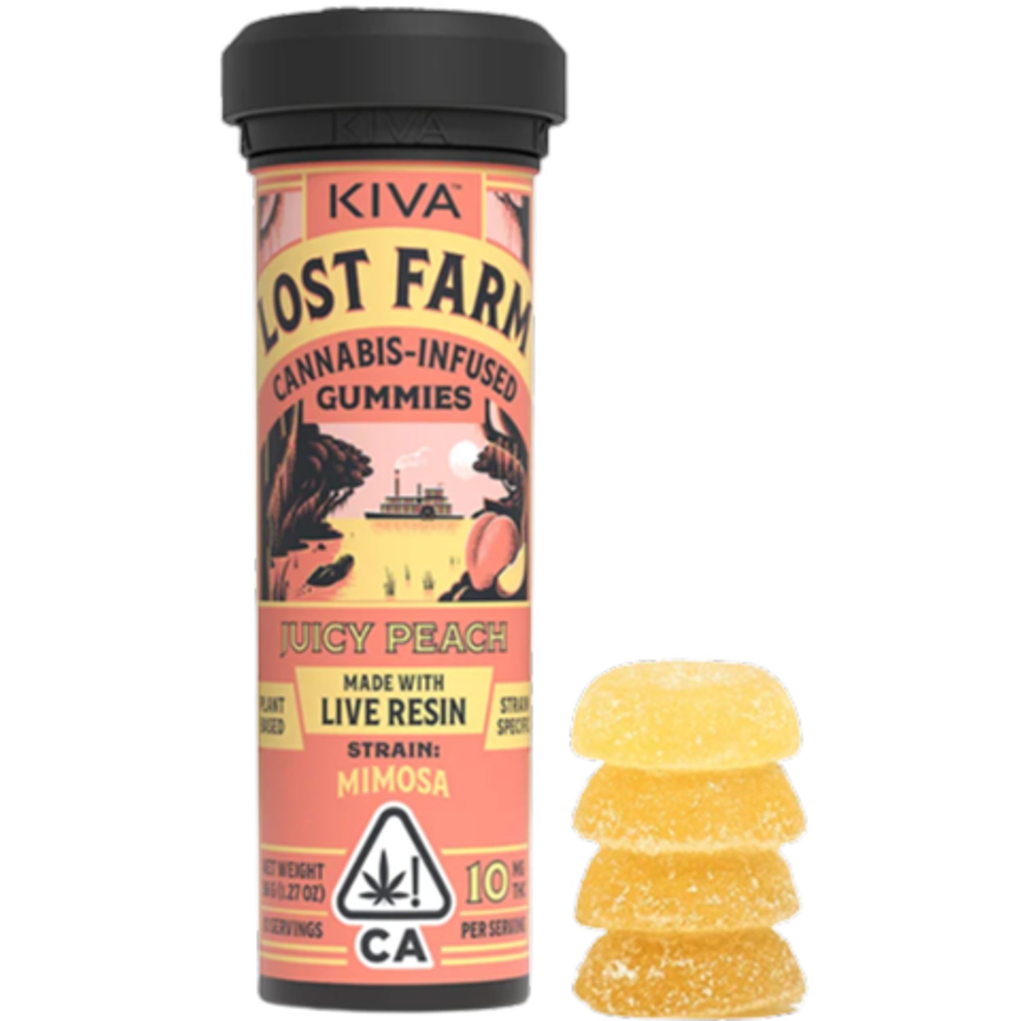 Juicy Peach X Mimosa