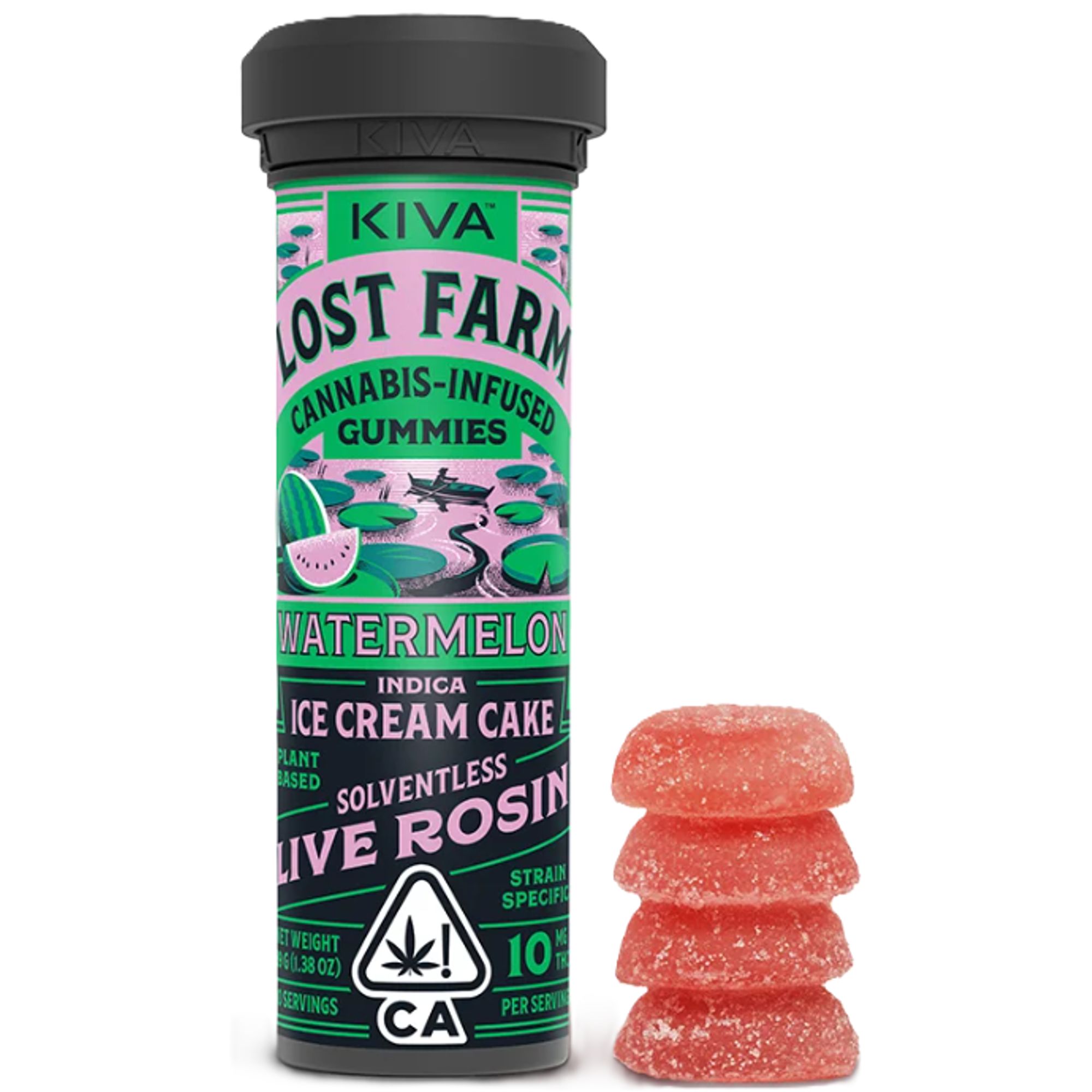 Watermelon X Ice Cream Cake