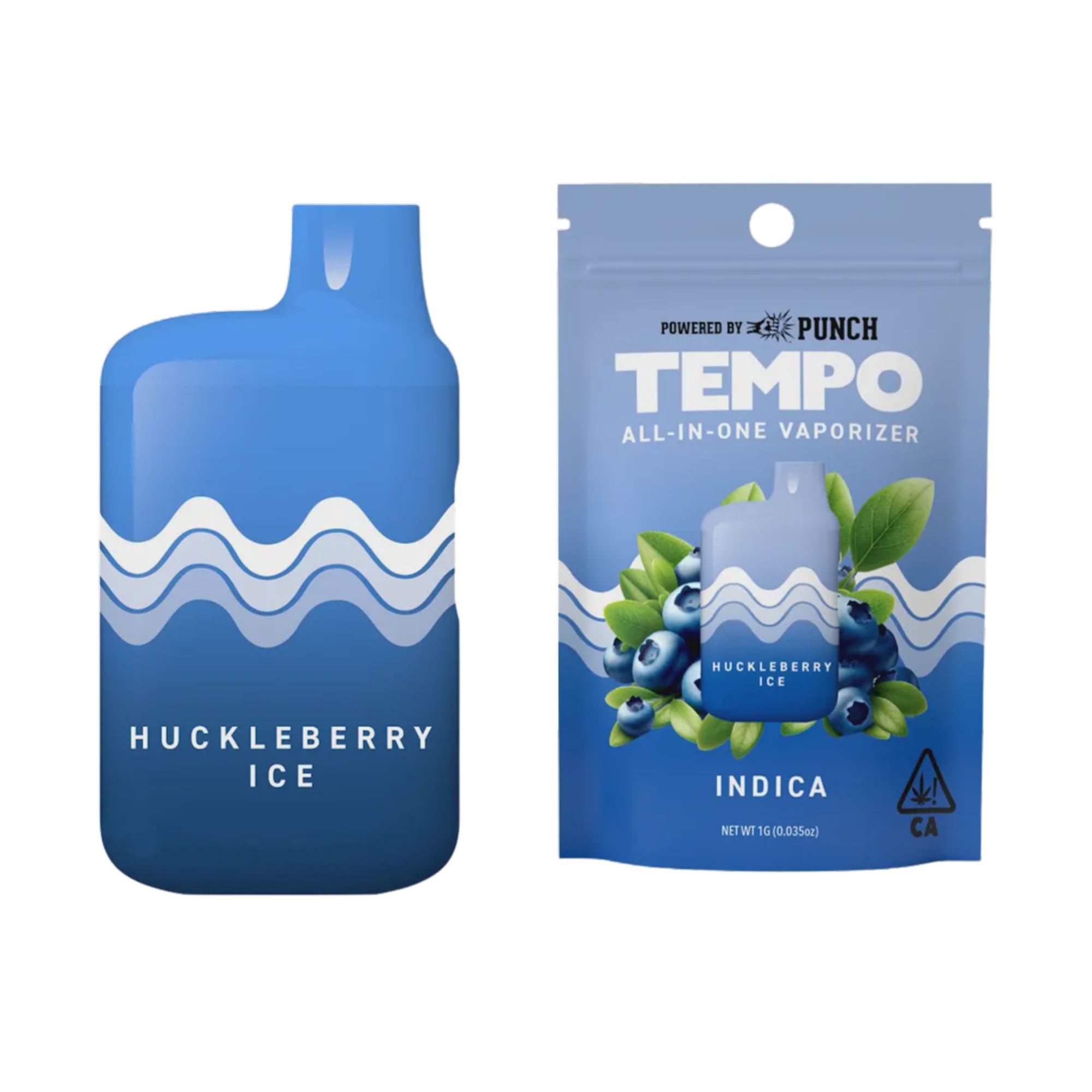 TEMPO - THC ALL IN ONE - HUCKLEBERRY ICE - 1G