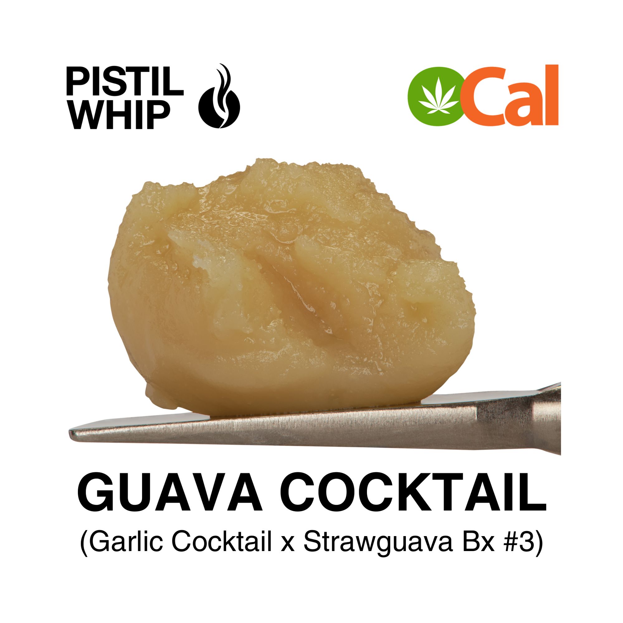 PISTIL WHIP - ROSIN BADDER - GUAVA COCKTAIL - 1G