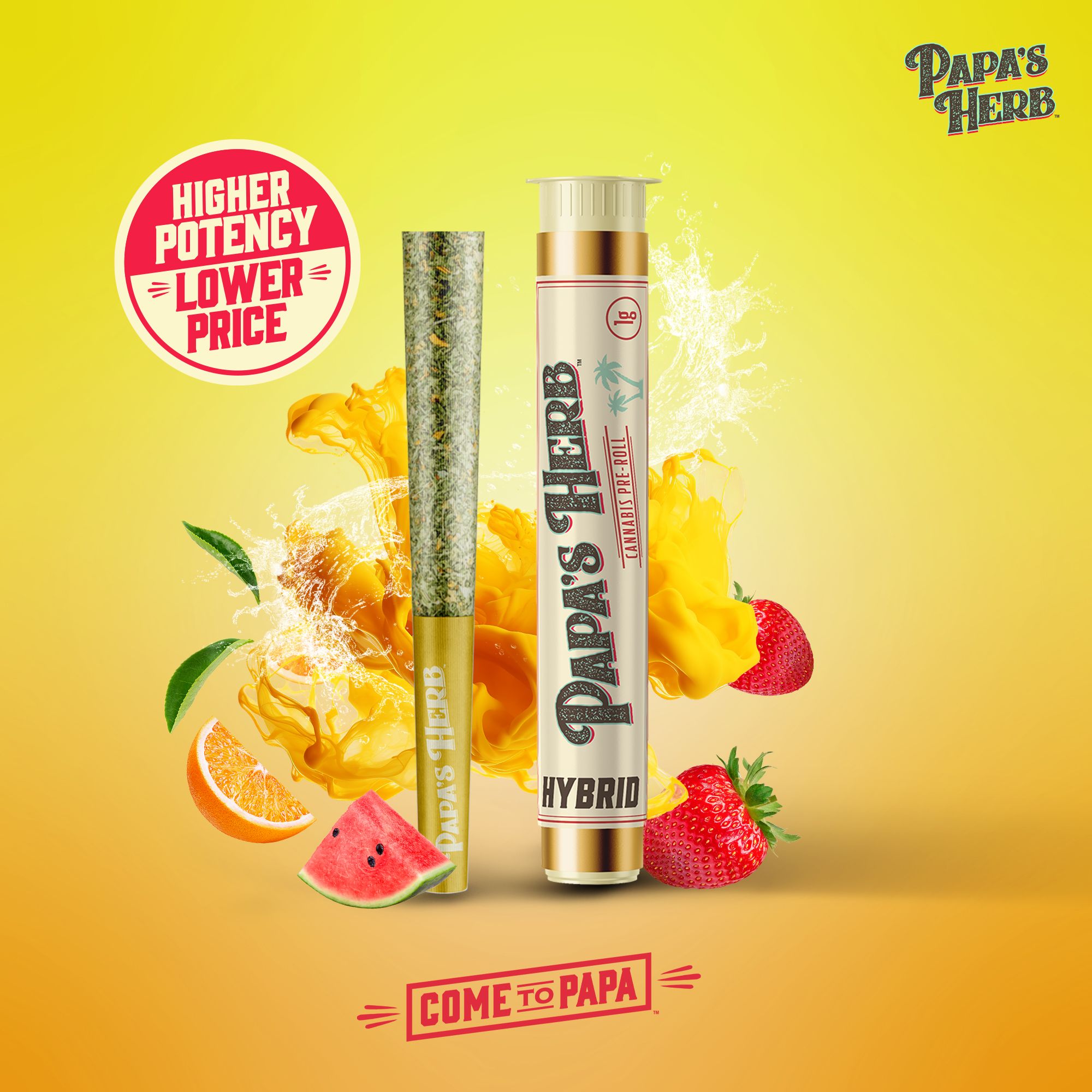PAPAS HERB - SUNGROWN PREROLL - SUNDAE DRIVER - 1G