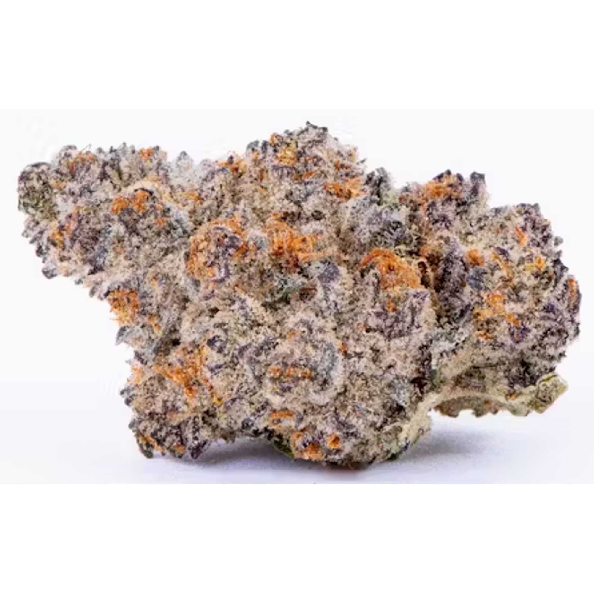 GMO COOKIES 1G