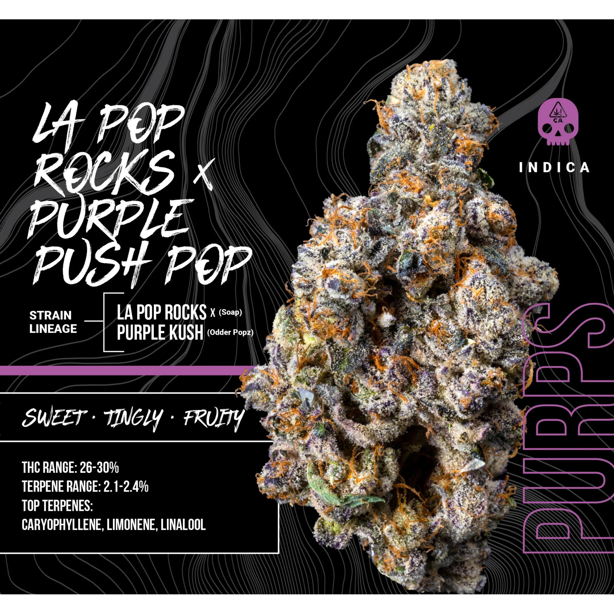 LA Pop Rocks x Purple Push Pop