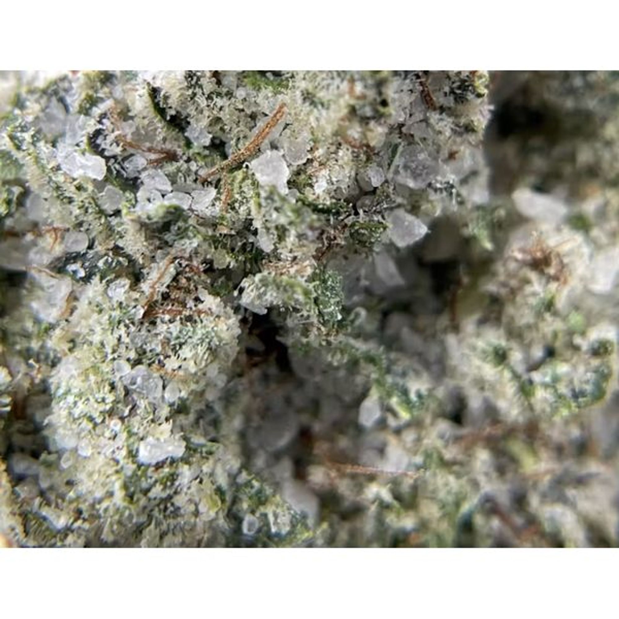 LEMONHEAD DIAMOND COATED 3.5G F2