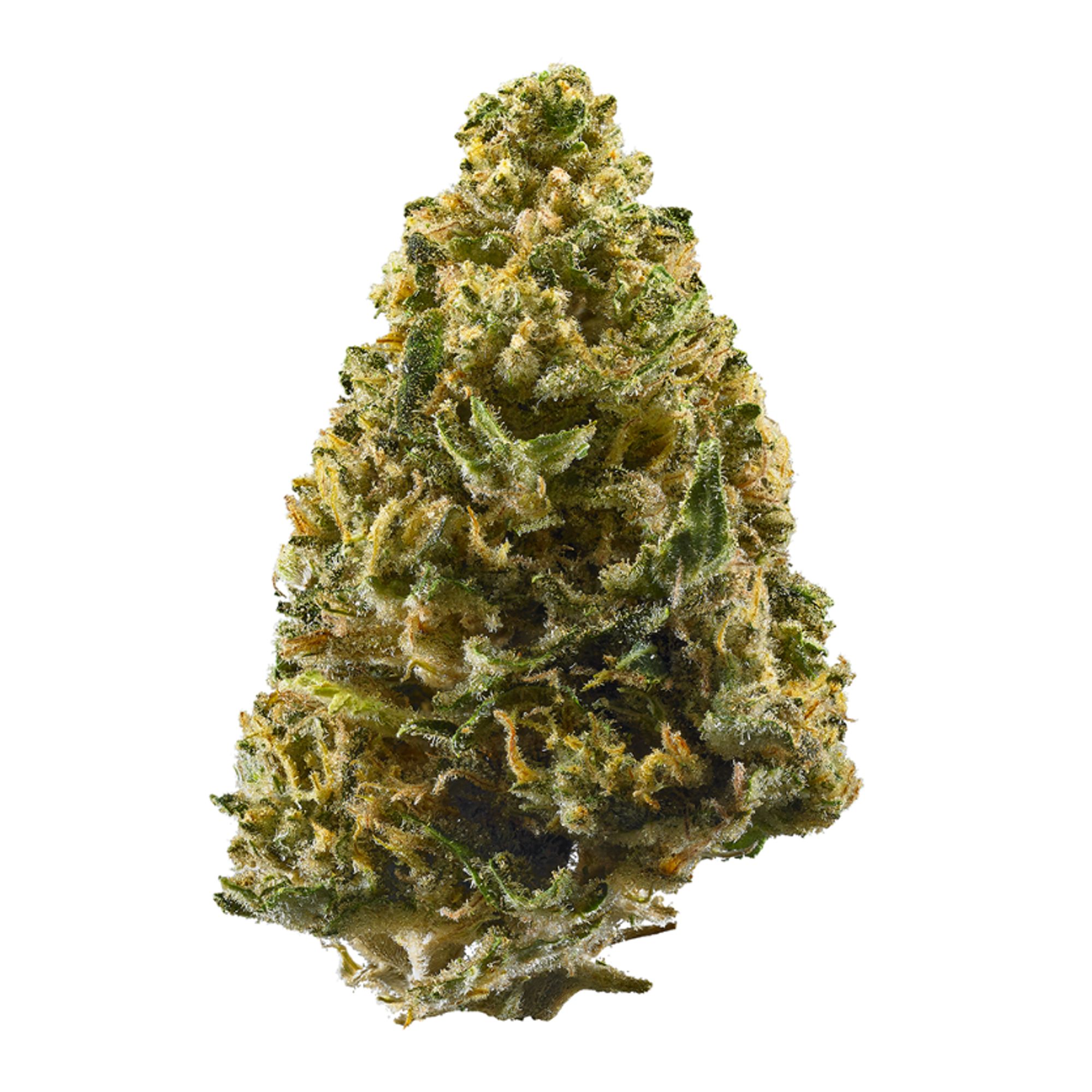 NORTHERN LIGHTS 3.5G L1