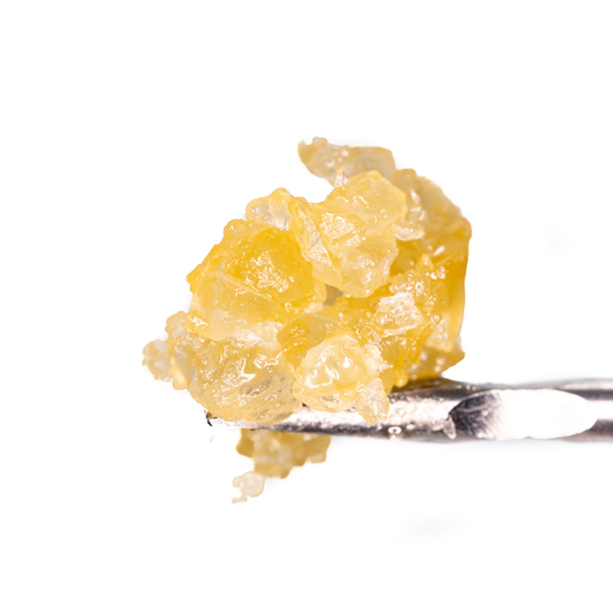 Animal Cookies