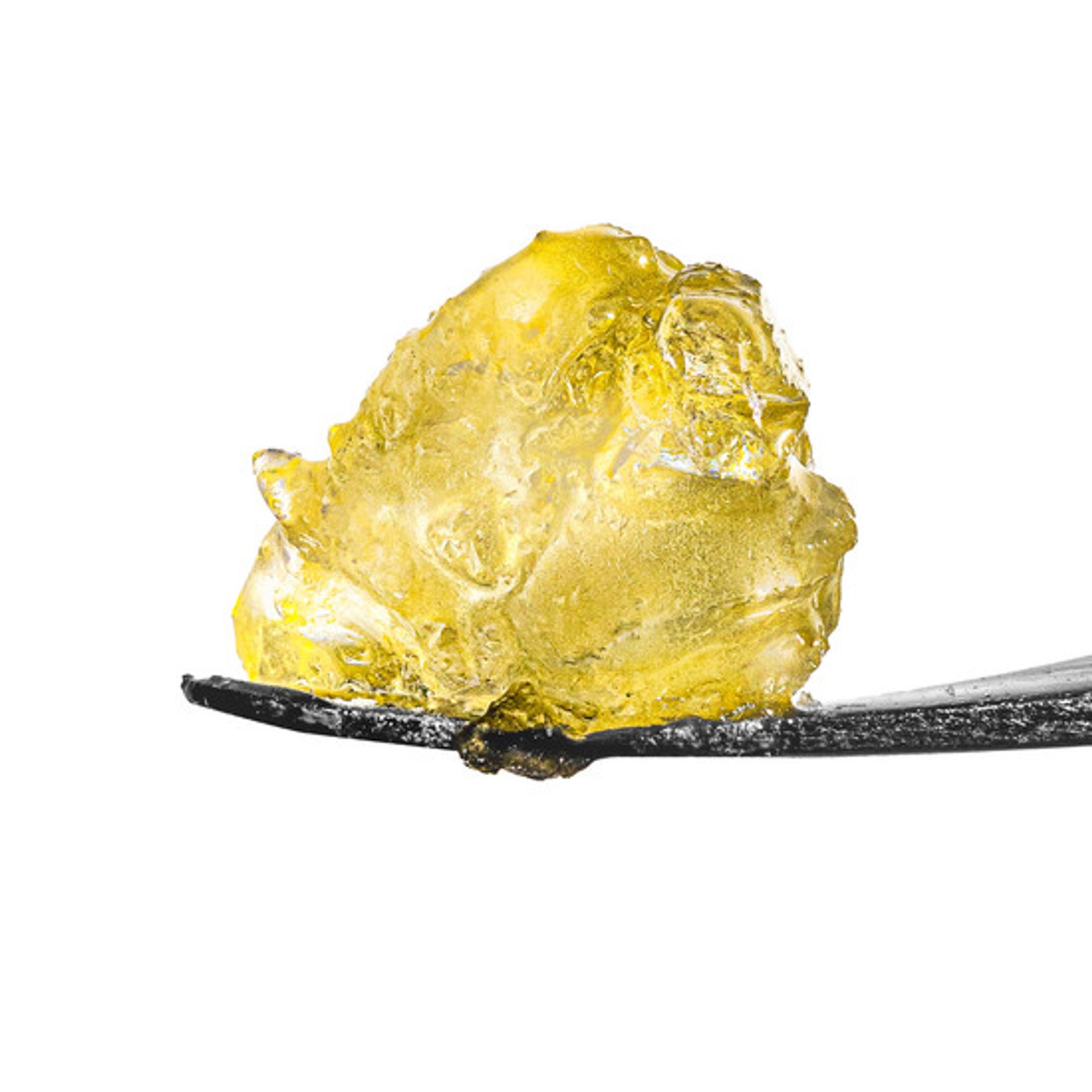 Gelato 41