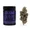 GRAYPE 3.5G j3