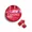 5:5:5 Cbg Cbc Wild Cherry