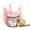 Cherry Burst