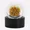 BEAR LABS - BHO BUDDER - GRAPE JUICE TIER 2 - 1G