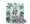 Magic Melon