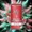 PRESIDENTIAL - INFUSED PREROLL MULTIPACK - WATERMELON - 1.5G