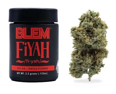Sweet Tangie | 3.5 Gram Black Label Flower | STIIIZY