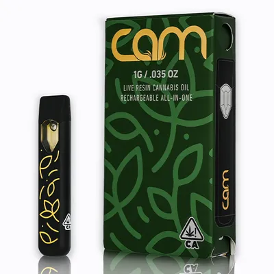 elfbar elfa master akku CAM - Lemon Cherry Gelato - Cured Resin Disposable Vape - 1g - 1g by Cam