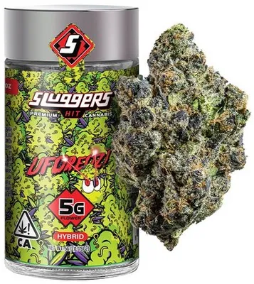 Sweet Tangie | 7 Gram Black Label Flower | STIIIZY