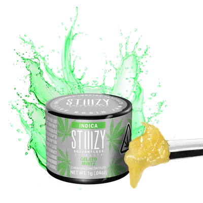 Gelato Mintz | Live Rosin Jam | STIIIZY