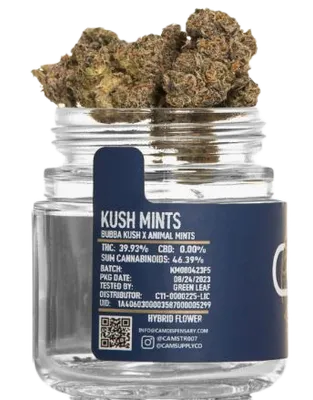 Sweet Tangie | 3.5 Gram Black Label Flower | STIIIZY