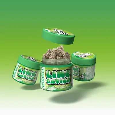 Traditional-Exotic Indoor-Lime Caviar