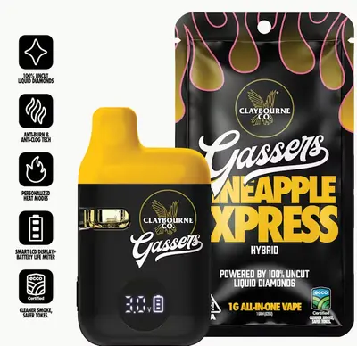 GASSERS PINEAPPLE EXPRESS DISPOSABLE 1G d6