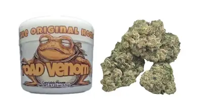 TOAD VENOM 3.5G H4