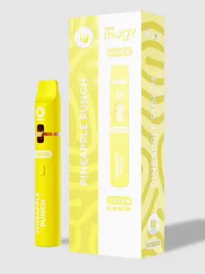 PINEAPPLE PUNCH DISPOSABLE 1G D1