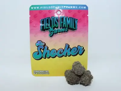 DA SHOCKER 3.5G 1D