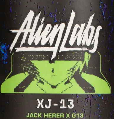 XJ-13 PRE-ROLL 1G E1