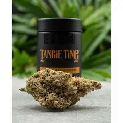 TANGIE TING 3.5G Q1