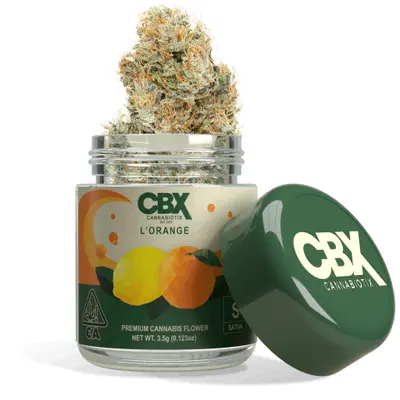 L'ORANGE 3.5G M6