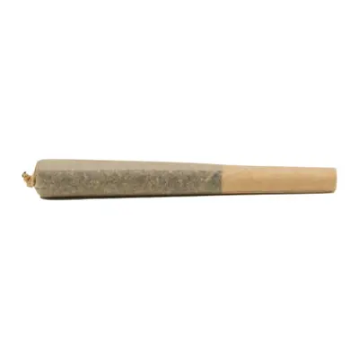 GRAND MASTER PRE-ROLL .75G d2