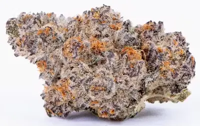 GMO COOKIES 1G