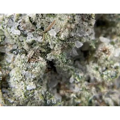 LEMONHEAD DIAMOND COATED 3.5G F2