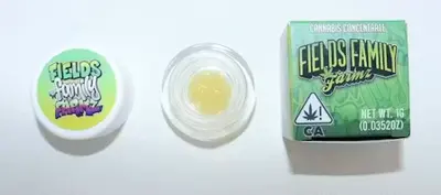 GALACTIC GAS SAUCE 1G