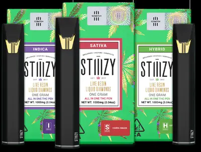 WATERMELON Z DISPOSABLE 1G C6