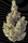 GMO 3.5G I3