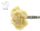 PAPAYA x FUMEZ #17 PERSY BADDER 1G