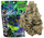 GRAMLIN - INDOOR FLOWER - BISCOTTI X THE MENTHOL #1 - 3.5G