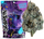 GRAMLIN - INDOOR FLOWER - JOKERZ X EYE CANDY #9 - 3.5G