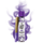 Purple Punch