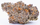 GMO COOKIES 1G