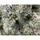 LEMONHEAD DIAMOND COATED 3.5G F2